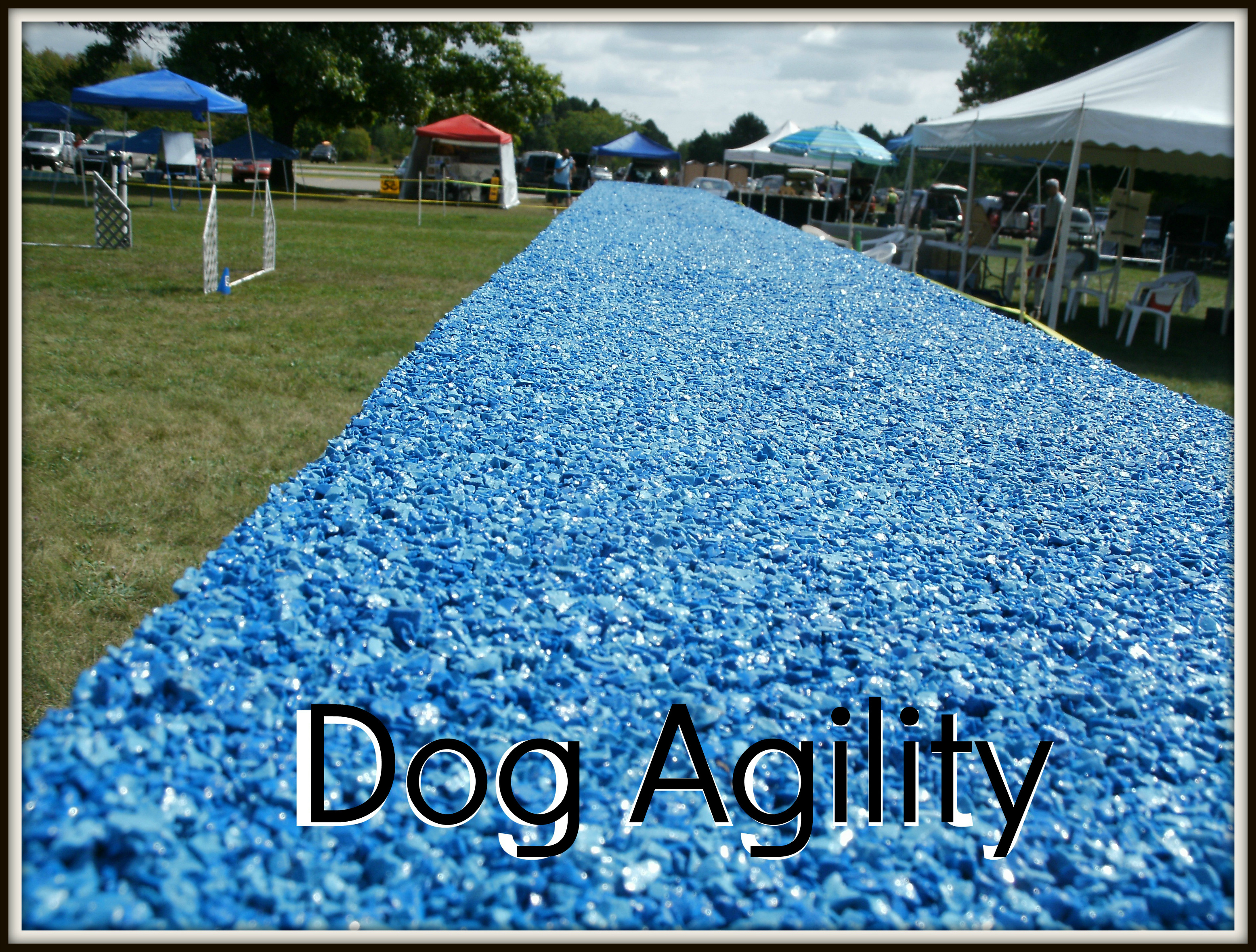 Rubber For Dog Agility Applications